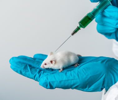 Động vật thí nghiệm